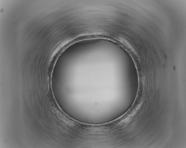 X0000078260781200611251327