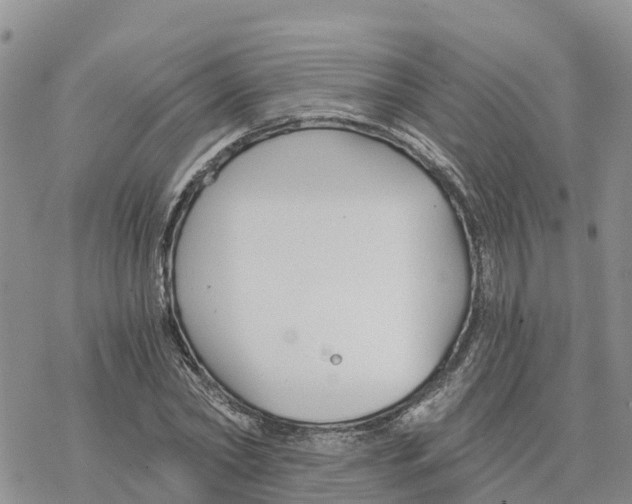 X0000078260782200611251327