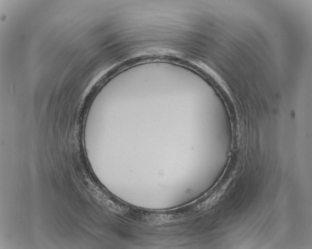 X0000078260783200611251327