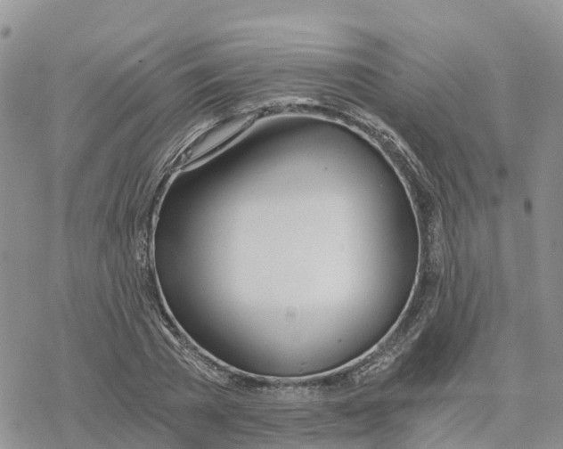 X0000078260785200611251327