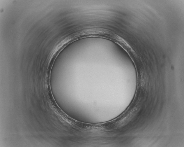 X0000078260786200611251327