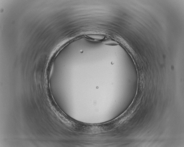 X0000078260787200611251327