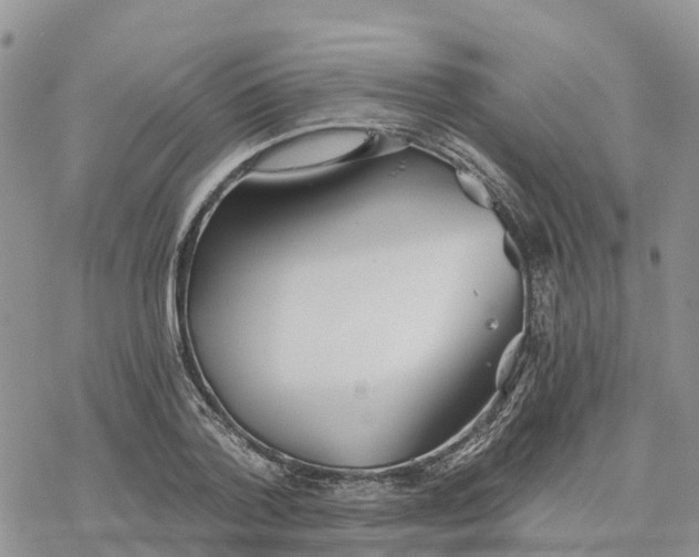 X0000078260788200611251327