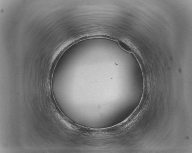 X0000078260789200611251327