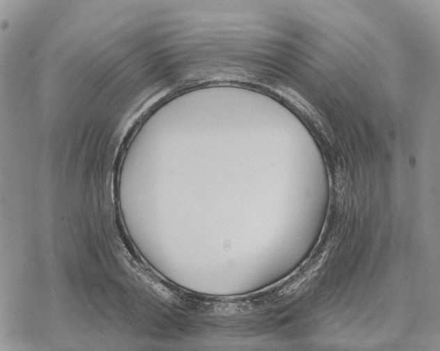 X0000078260790200611251327