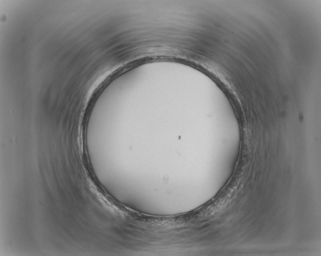 X0000078260791200611251327