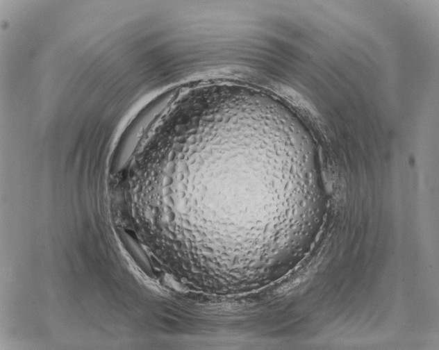 X0000078260792200611251327