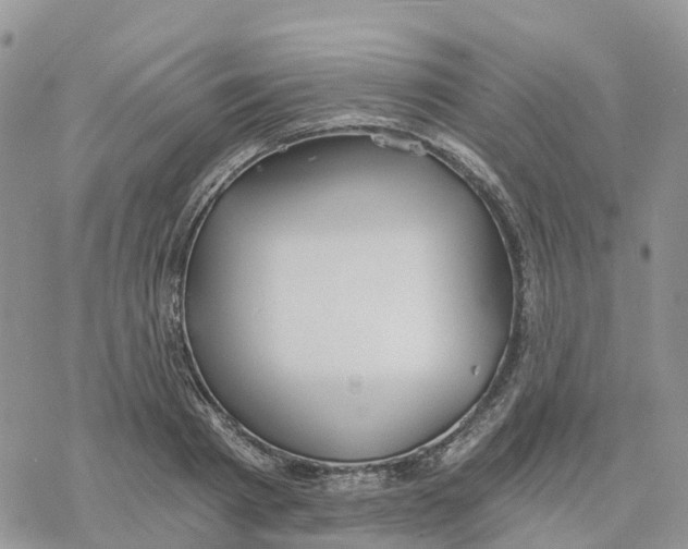 X0000078260793200611251327