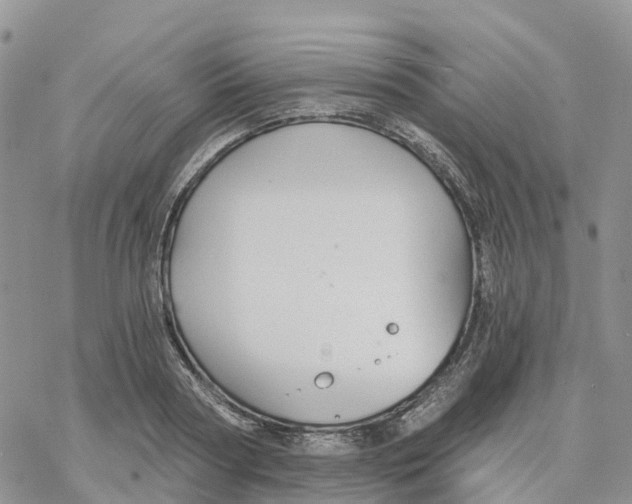 X0000078260794200611251327