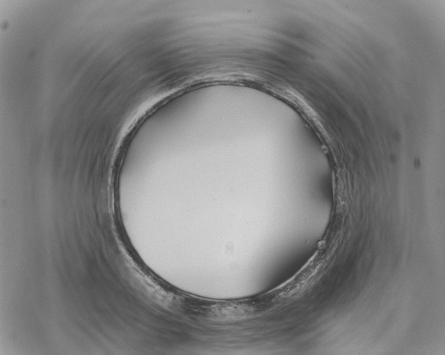 X0000078260795200611251327