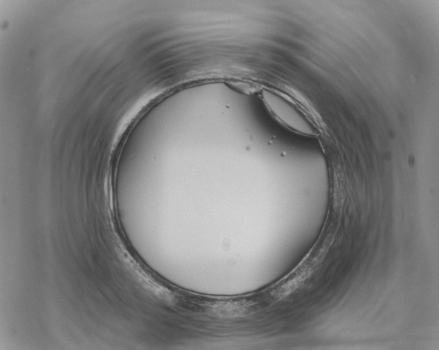 X0000078260796200611251327