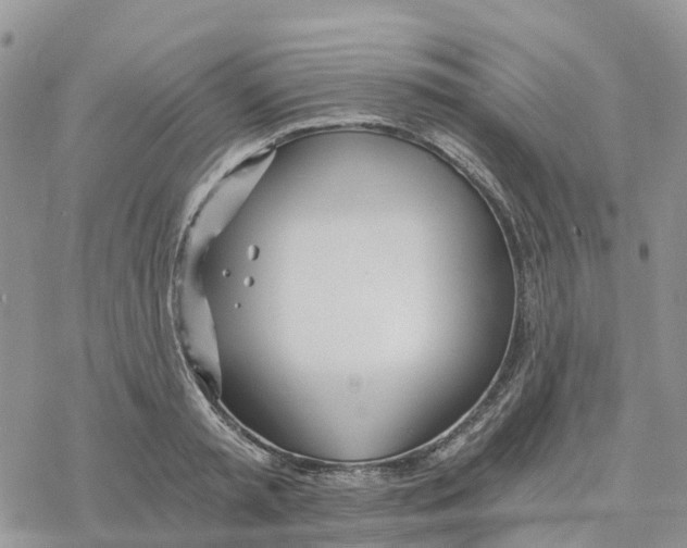 X0000078260797200611251327