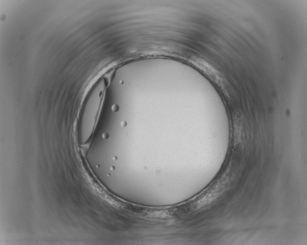 X0000078260798200611251327