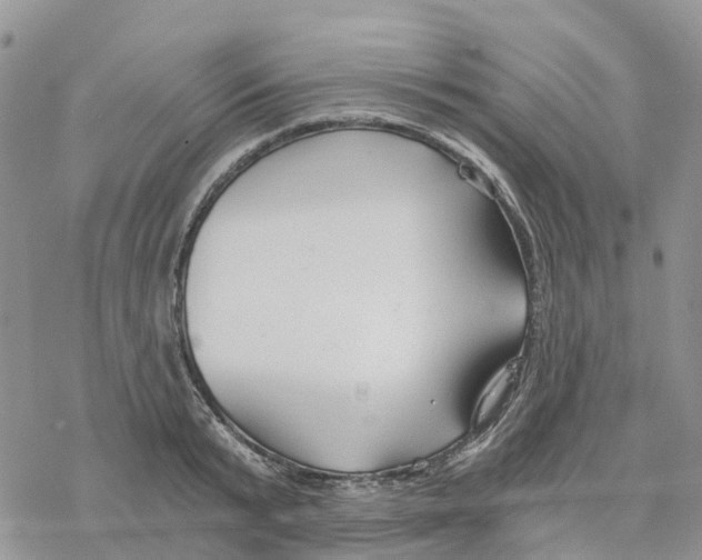 X0000078260799200611251327