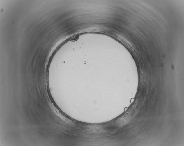 X0000078260800200611251327