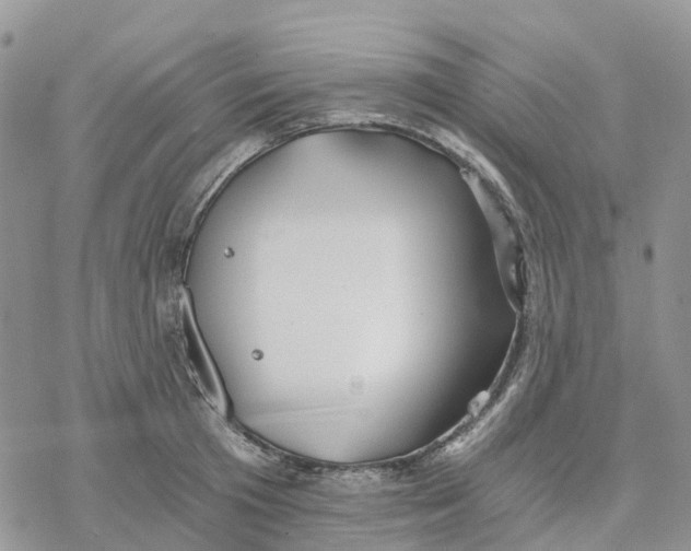 X0000078260801200611251327