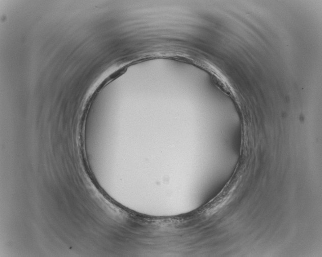 X0000078260803200611251327