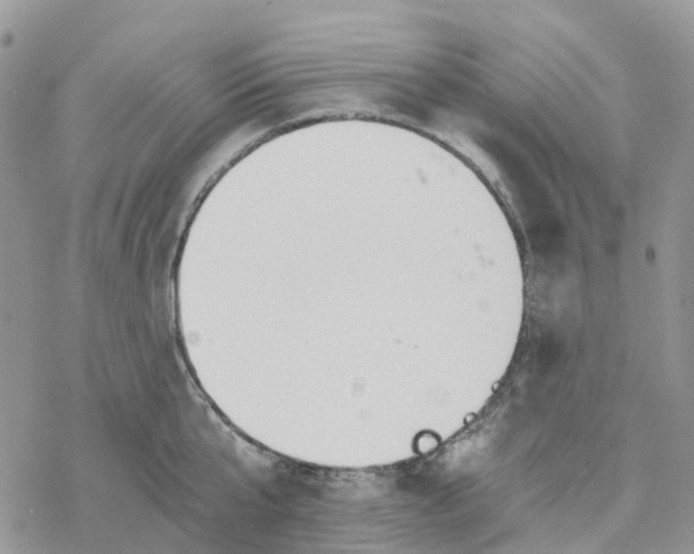 X0000078260807200611251327