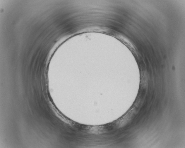 X0000078260808200611251327