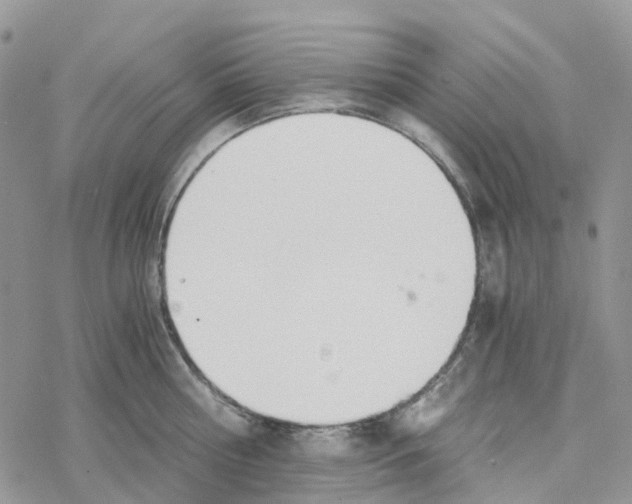 X0000078260810200611251327