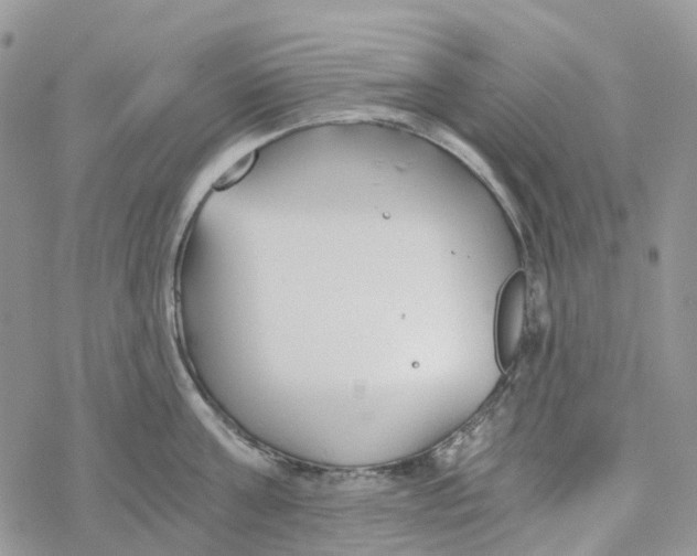 X0000078260811200611251327