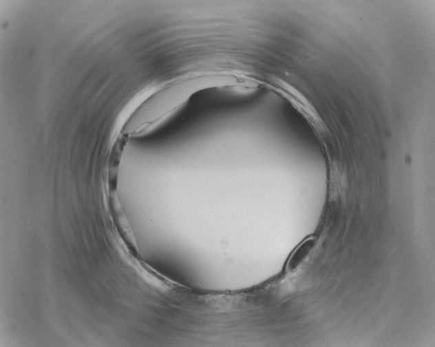 X0000078260812200611251327