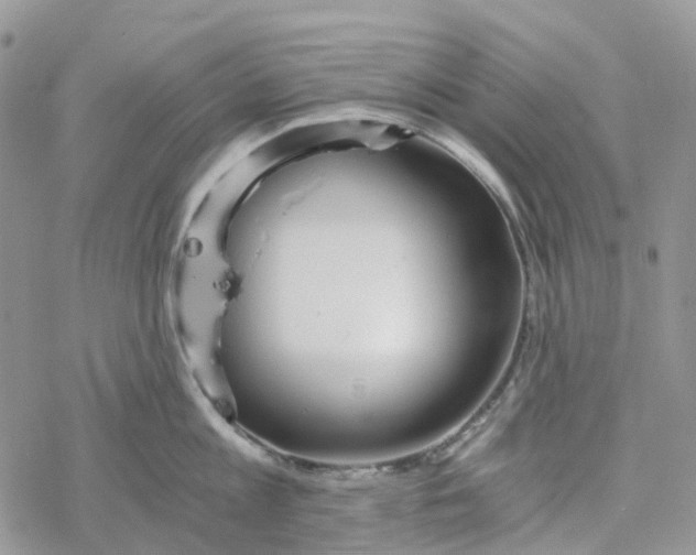 X0000078260813200611251327