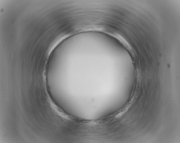 X0000078260814200611251327