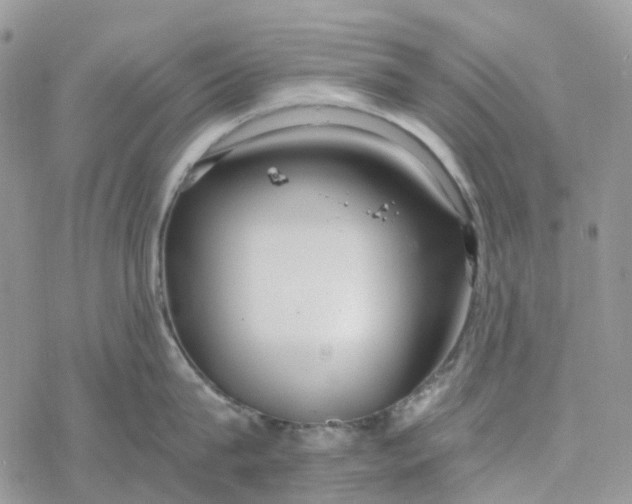 X0000078260815200611251327