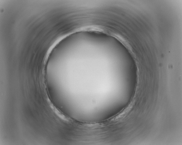 X0000078260816200611251327