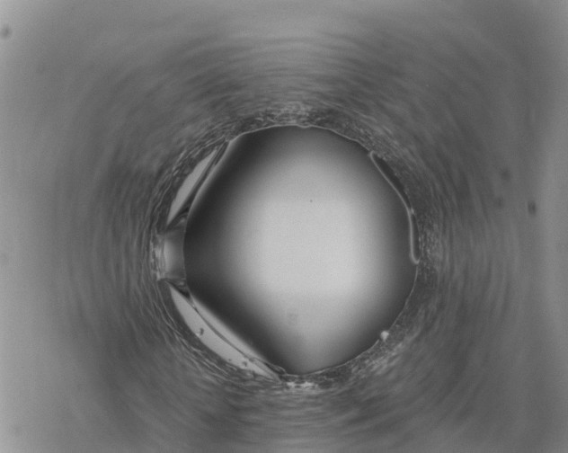 X0000078260818200611251326