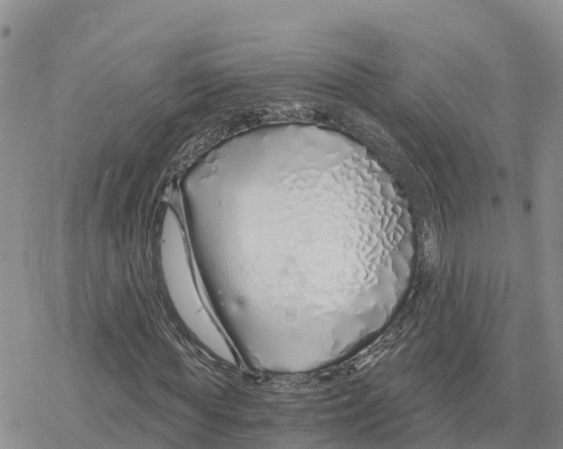 X0000078260819200611251326