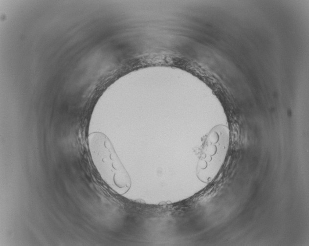 X0000078260820200611251326