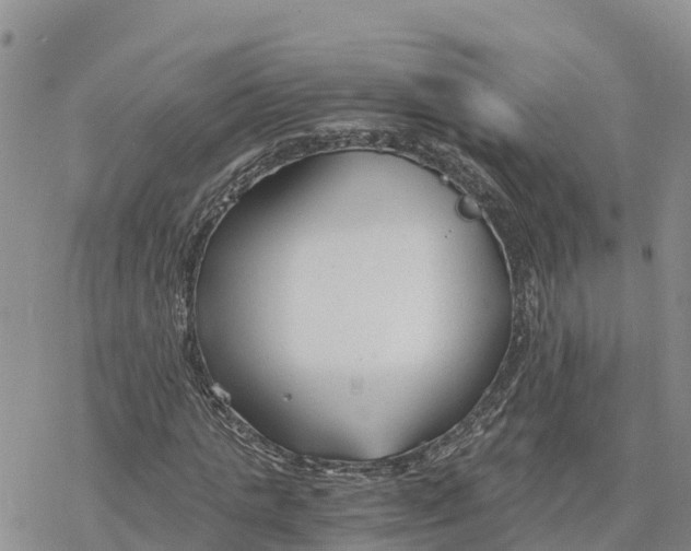 X0000078260821200611251326