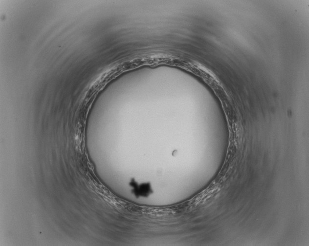 X0000078260823200611251326