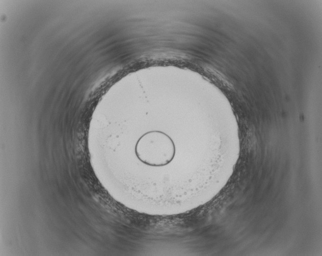 X0000078260824200611251326