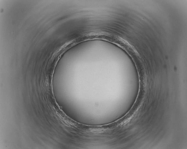 X0000078260825200611251326