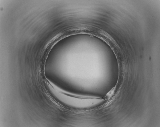 X0000078260826200611251326