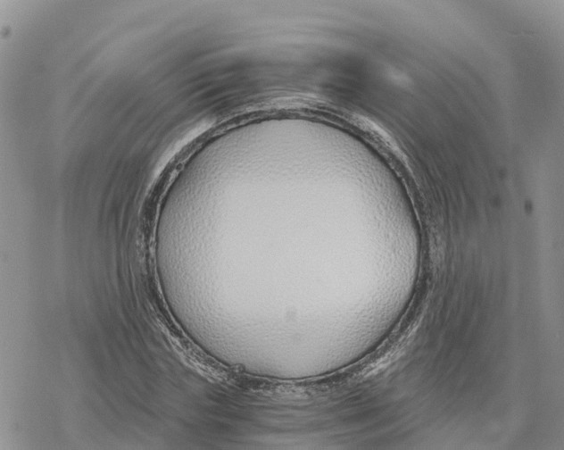 X0000078260827200611251326