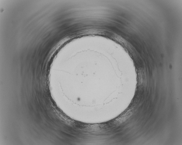 X0000078260828200611251326