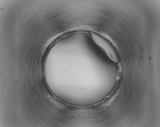 X0000078260830200611251326