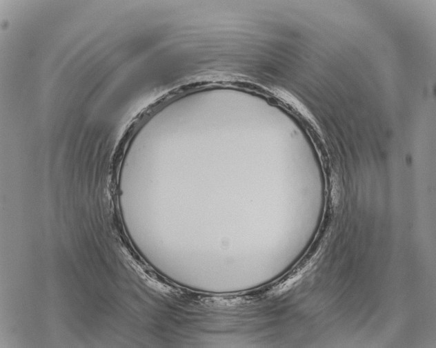 X0000078260831200611251326