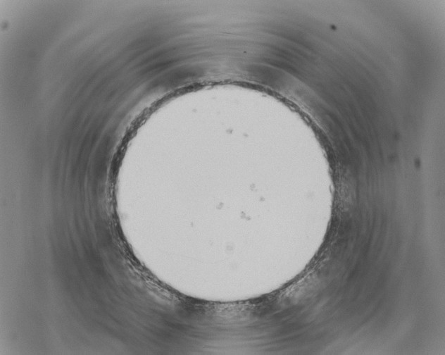 X0000078260832200611251326