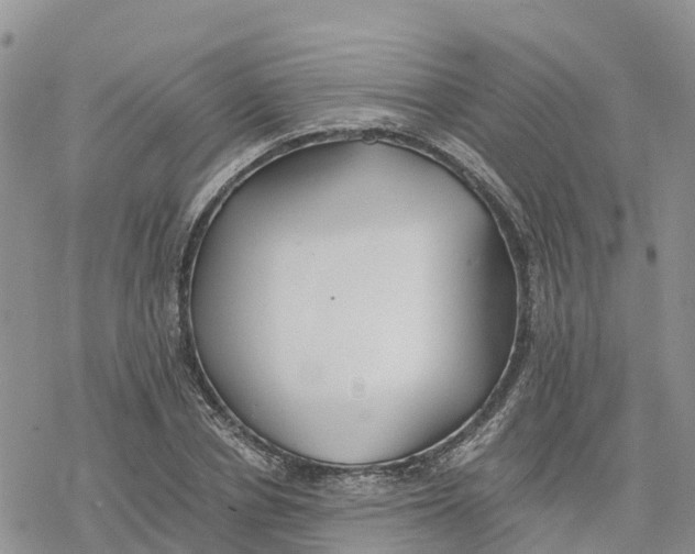 X0000078260834200611251326