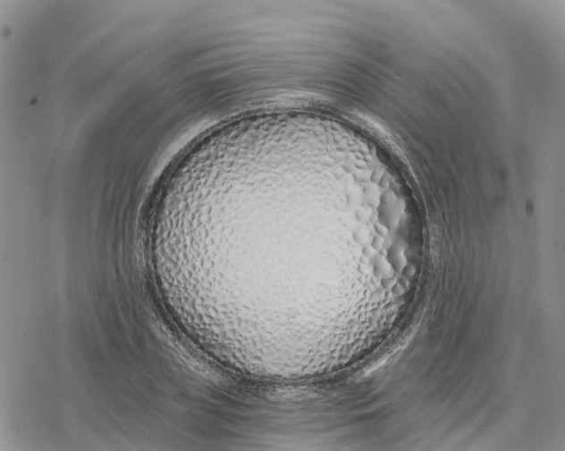 X0000078260835200611251326