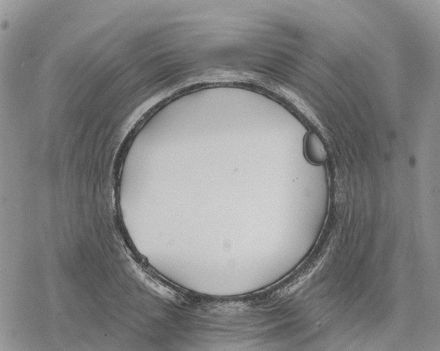 X0000078260837200611251326