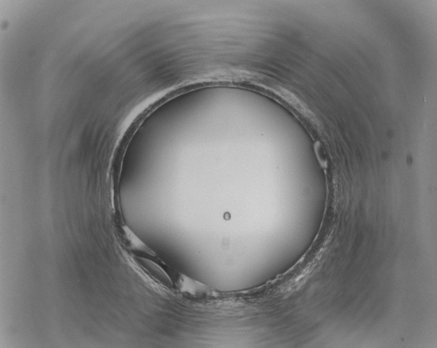 X0000078260838200611251326