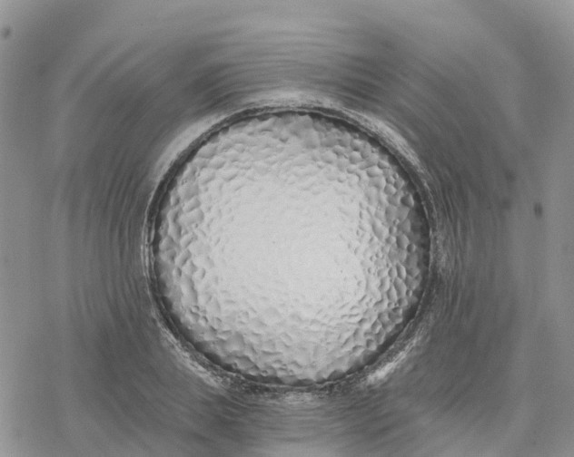 X0000078260839200611251326