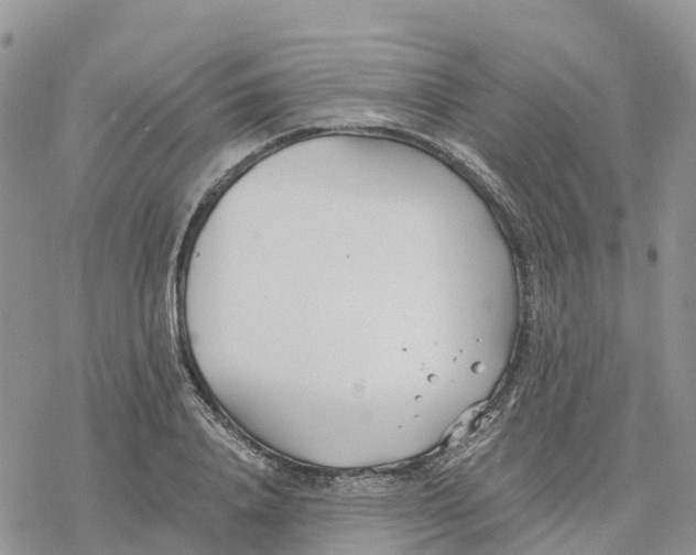 X0000078260840200611251326