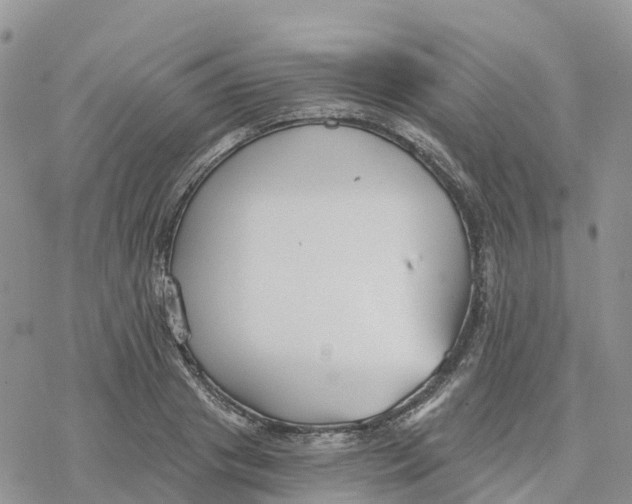 X0000078260841200611251326